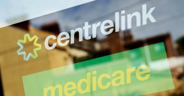 Shorten looks to boost Services Australia’s Centrelink and Medicare staff numbers