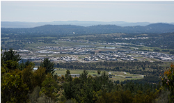 Infrastructure action for maturing Molonglo