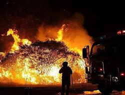 Big dollar boost to battle bushfires