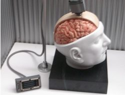 Deep thought: The new brain implant that turns thoughts into text