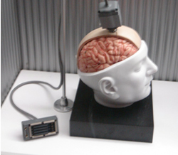Deep thought: The new brain implant that turns thoughts into text