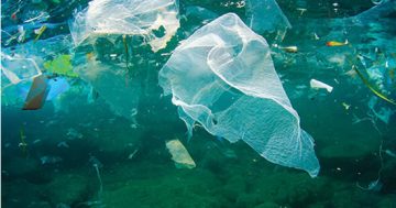 Bag the ban: Can we solve the world’s plastics crisis by banning bags?
