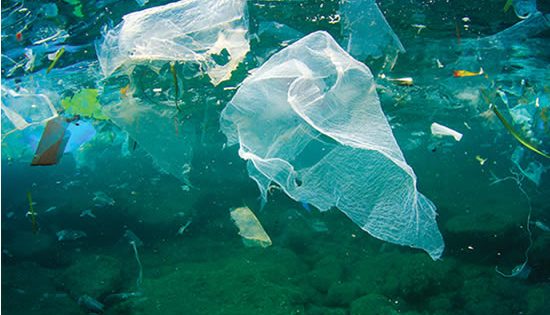 Bag the ban: Can we solve the world’s plastics crisis by banning bags?