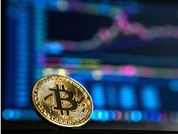 Heads you win: What the Bitcoin lesson says about investment ‘experts’