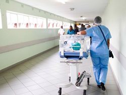 Strong medicine: Learning the lesson of leadership in a fight for life