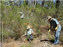 High praise for weed volunteers