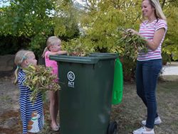 Green light for city-wide green bins