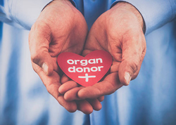 ACT organ donors pull out the stops