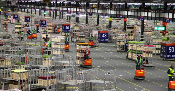 Selling Flowers By The Footie Field