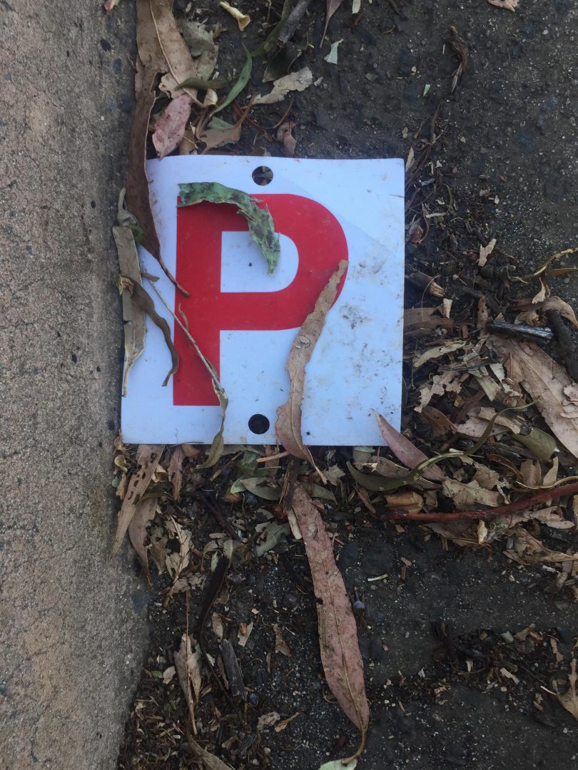 P Plates. File photo.