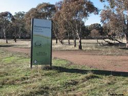 Parks to get jump on rabbits