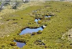 Climate change endangers wetlands