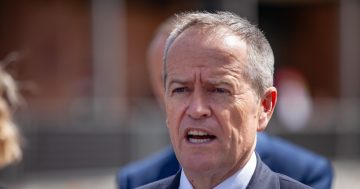 Shorten says he had nothing to do with the $300,000 a year speechwriter contract