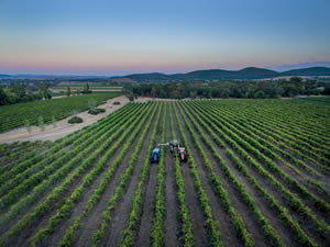 Mudgee celebrates it diversity