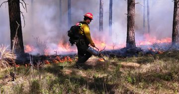 Prescribed burning program hots up