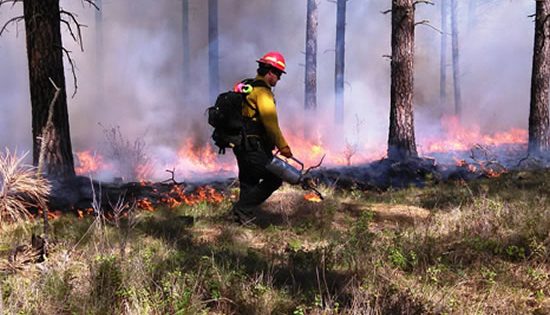 Prescribed burning program hots up