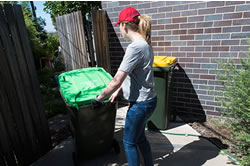 Green bins get green light