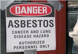 Asbestos importers to bite the dust