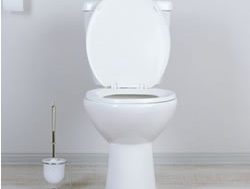 Toilet training: How a high-tech toilet seat can detect heart failure