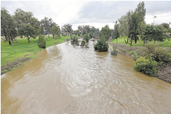 Regulator buoyed by water ban response