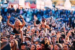 Festival pill testing good medicine