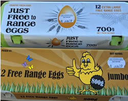 Egg crackdown to catch salmonella