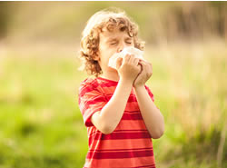Funding boost for kids’ allergies