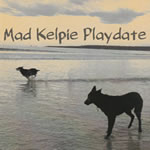 Mad Kelpie Playdate