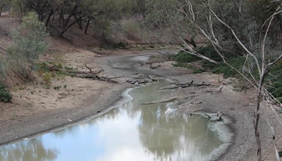 Public forums to tap into drought