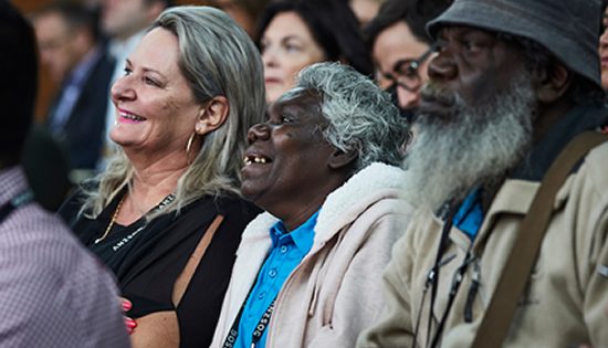 Call to ‘Indigenise’ APS Act