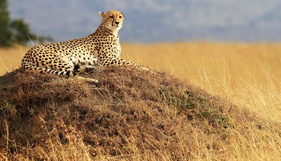 Transformative outcomes of delving into a raw and remarkable Africa