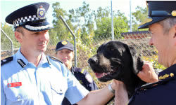 Detector dogs sniff out new kennels