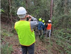 Forest strategy to branch out