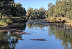 Rivers campaign to sink plastic pollution