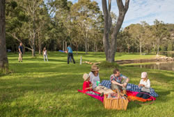 New playgrounds to swing into action