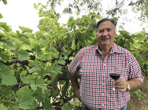 Tempranillo … established enough here to be regarded as mainsteam