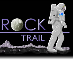 Institutions shine for moon landing