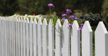 Taking a fence: How fences can create barriers in the mind