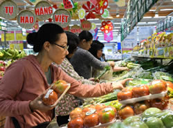 VIETNAM: PS ups charges as inflation falls