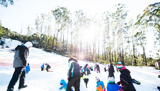 Special winter events breathe life into Canberra: a cool capital