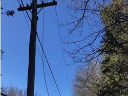 Police shocked at power line thefts