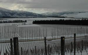 Blown away by New Zealand’s Central Otago