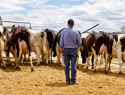 Vaccination the word for Q Fever