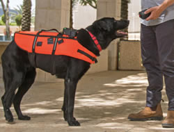 A mutt-have vest: The remote-control that helps dogs do their work