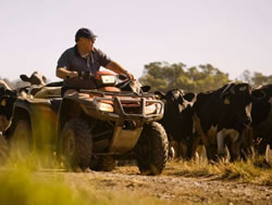 Safety Agency unchains quad bikes