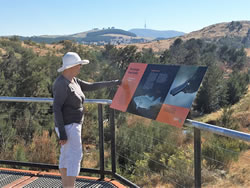 Molonglo river to bank on reserve