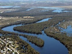 Murray-Darling catches new Inspector