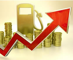 ACCC fuels petrol price concerns