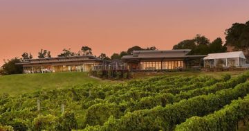 Indulge and rehydrate at Yarra Valley’s award-winning Balgownie Estate