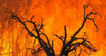 New Future Fund to fight future disasters